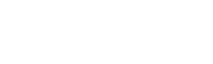 EKKO Media Group